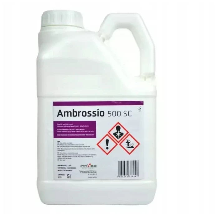 AMBROSSIO 500 SC