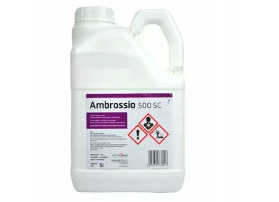 AMBROSSIO 500 SC