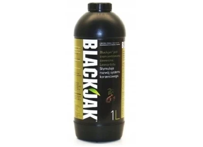 Blackjak