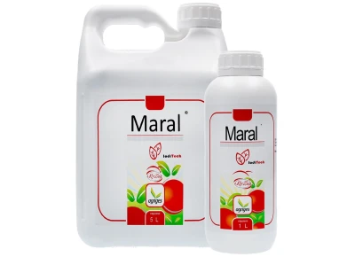 Maral