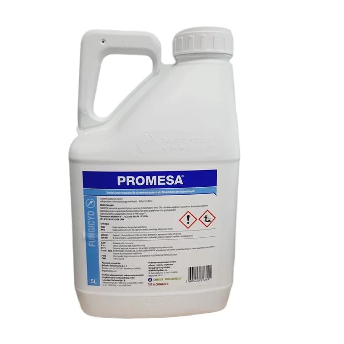 Promesa