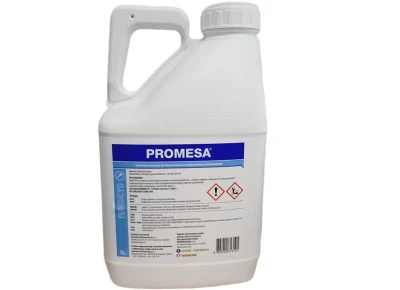 Promesa