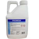 Promesa