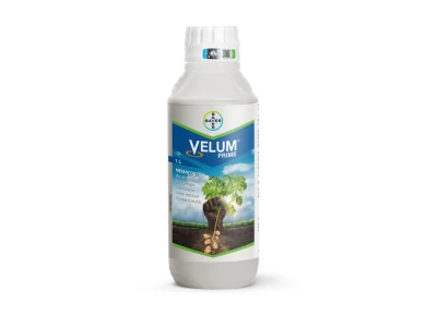 Velum Prime