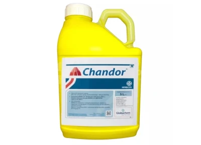 Chandor