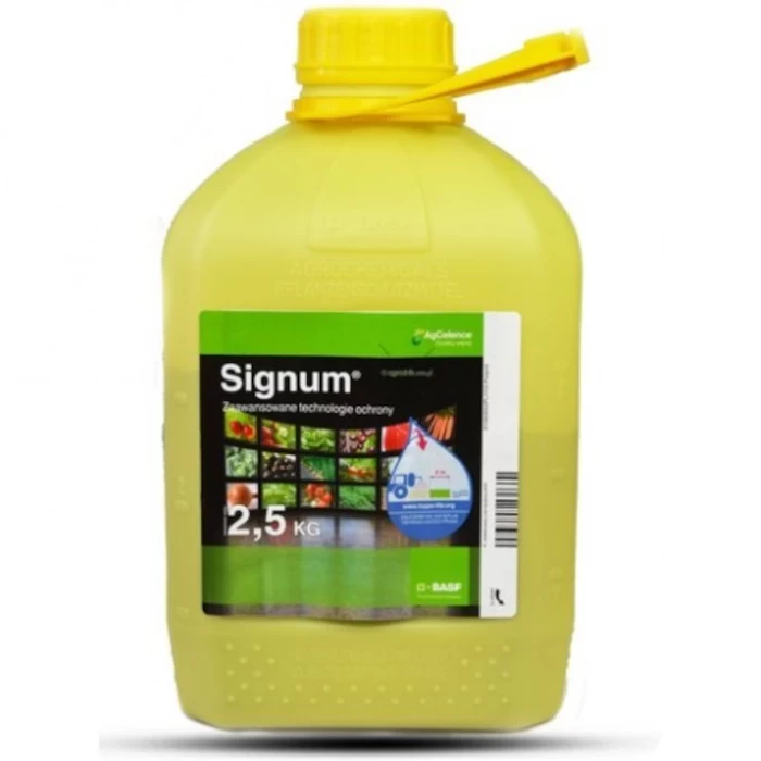 SIGNUM 33 WG
