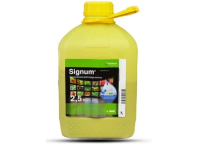 SIGNUM 33 WG