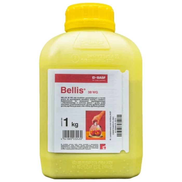 BELLIS 38 WG