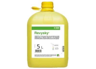 REVYSKY