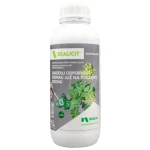 Sealicit®